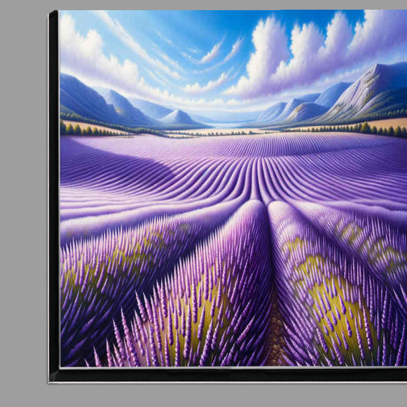 Buy Di-Bond : (A vast field of lavender swaying under a gentle breeze)