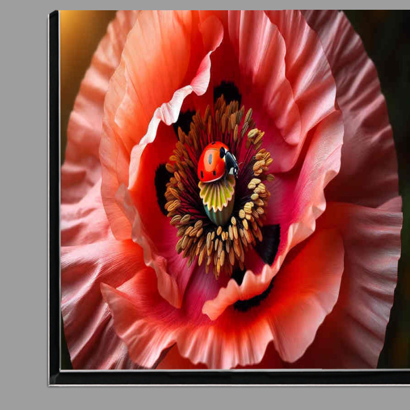 Buy Di-Bond : (Playfulness a close up of a poppy its intricate details)