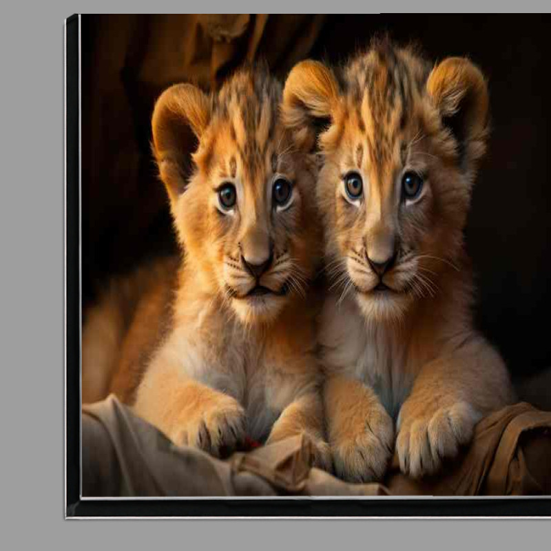 Buy Di-Bond : (Pair of lion cubs kenyan africa)