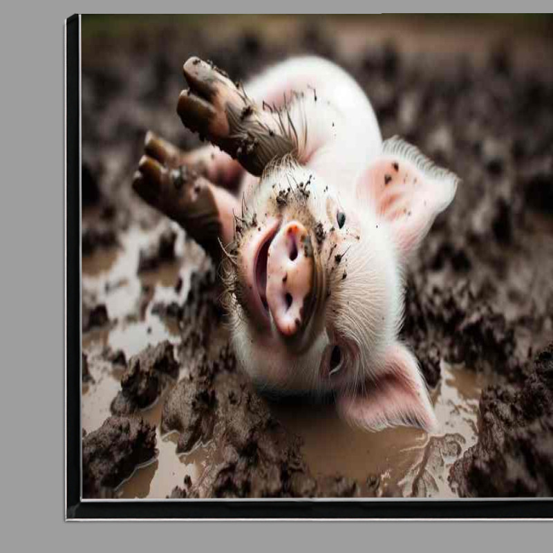 Buy Di-Bond : (Piglet Playtime a playful piglet rolling in the mud)