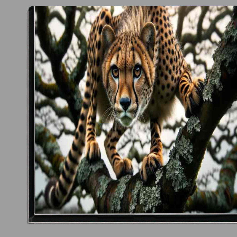 Buy Di-Bond : (Treetop Hunter the intricate patterns of a cheetahs coat)