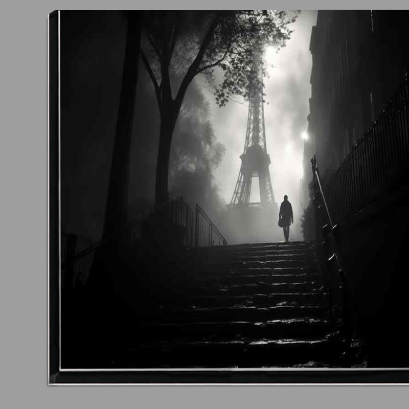 Buy Di-Bond : (Black And White Image Of Paris On The Stairrway)