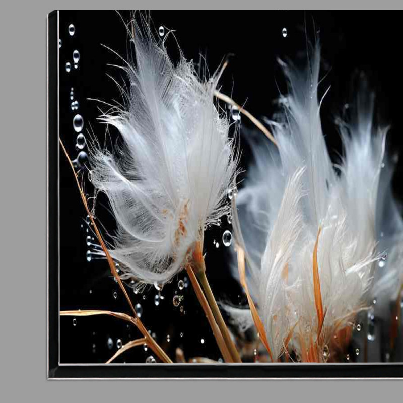 Buy Di-Bond : (Feathers in the morning winds with a few water droplets)