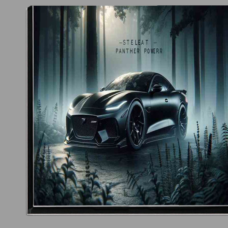 Buy Di-Bond : (Panther Power Black Performance Car)
