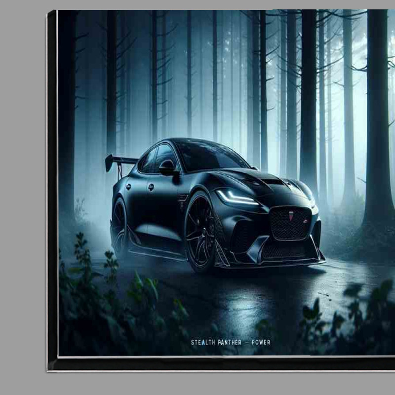 Buy Di-Bond : (Stealth Panther Power Black Performance Car)