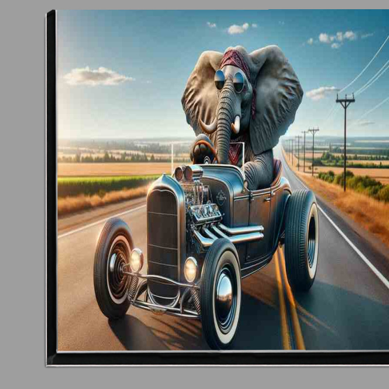 Buy Di-Bond : (Solo Elephant Driving an American Hot Rod)