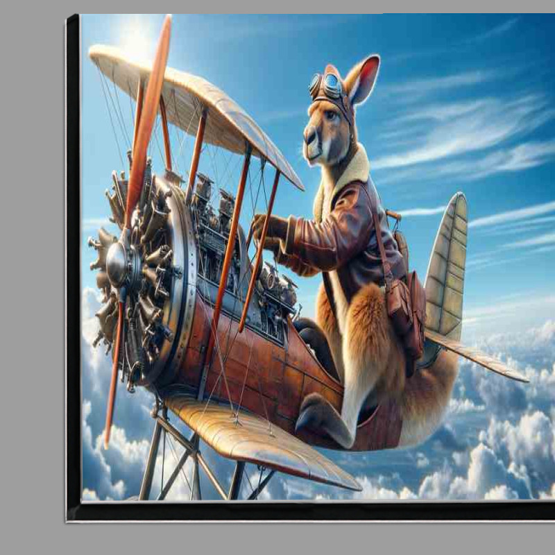 Buy Di-Bond : (Solo Kangaroo Piloting a Bi Plane)