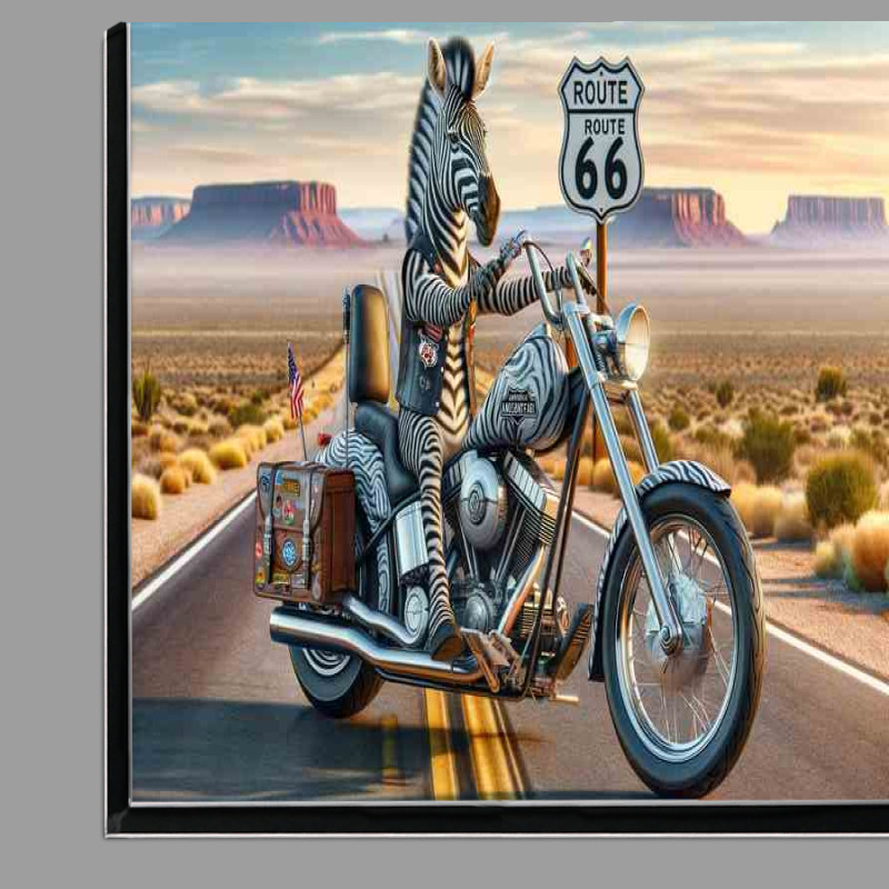 Buy Di-Bond : (Solo Zebra on an American Chopper on Route 66)