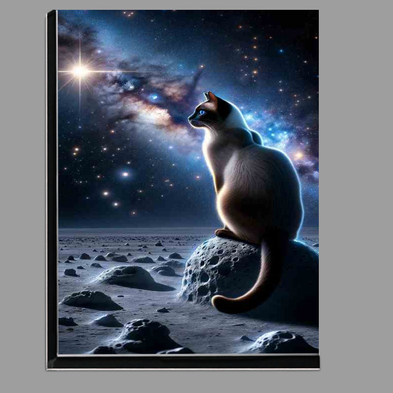 Buy Di-Bond : (Interstellar Siamese Cat Contemplating a Star Cluster)