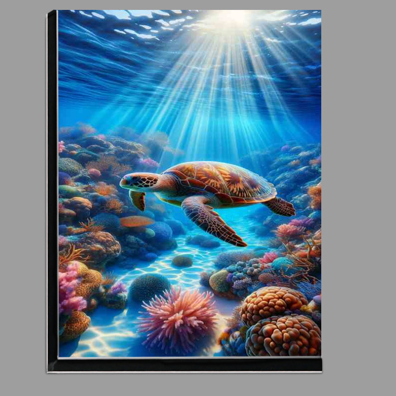 Buy Di-Bond : (Coral Reef Sea Turtle Haven through a vibrant coral reef)