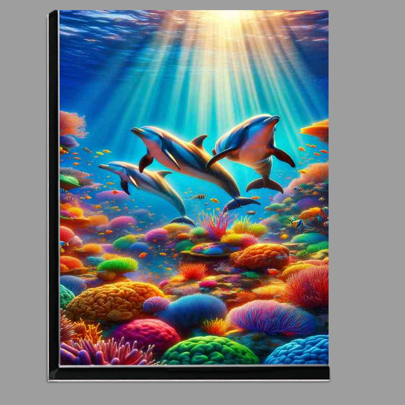 Buy Di-Bond : (Rainbow Reef Dolphin Dance The dolphins skins gleam)