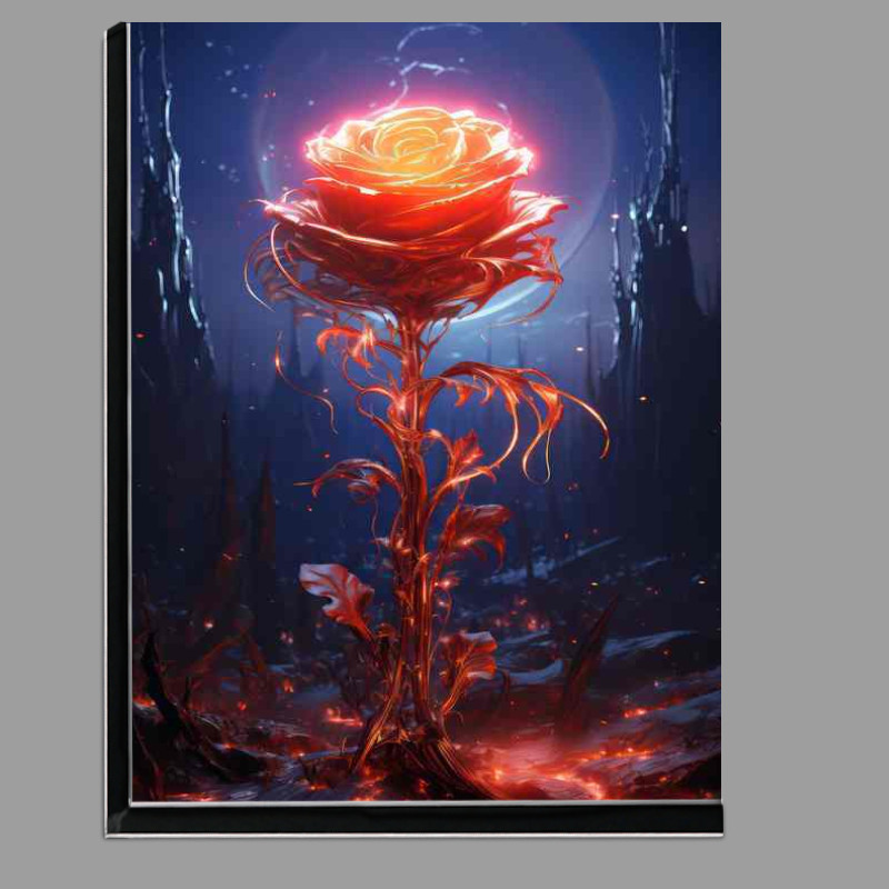 Buy Di-Bond : (Glowing Gardens Flora of the Fantasy Fields)