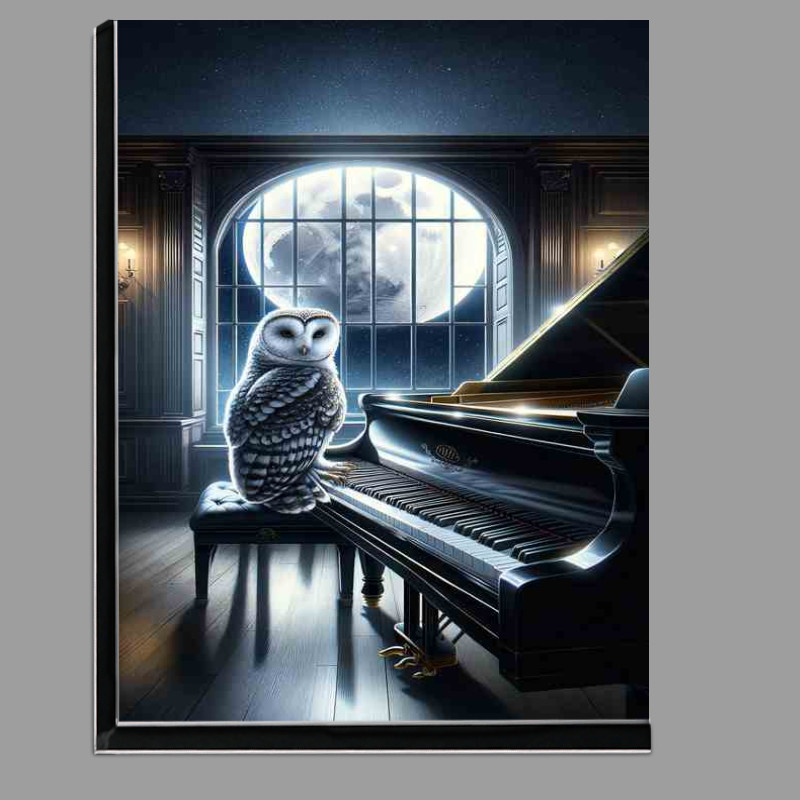 Buy Di-Bond : (Moonlight Sonata An Owl Pianist)