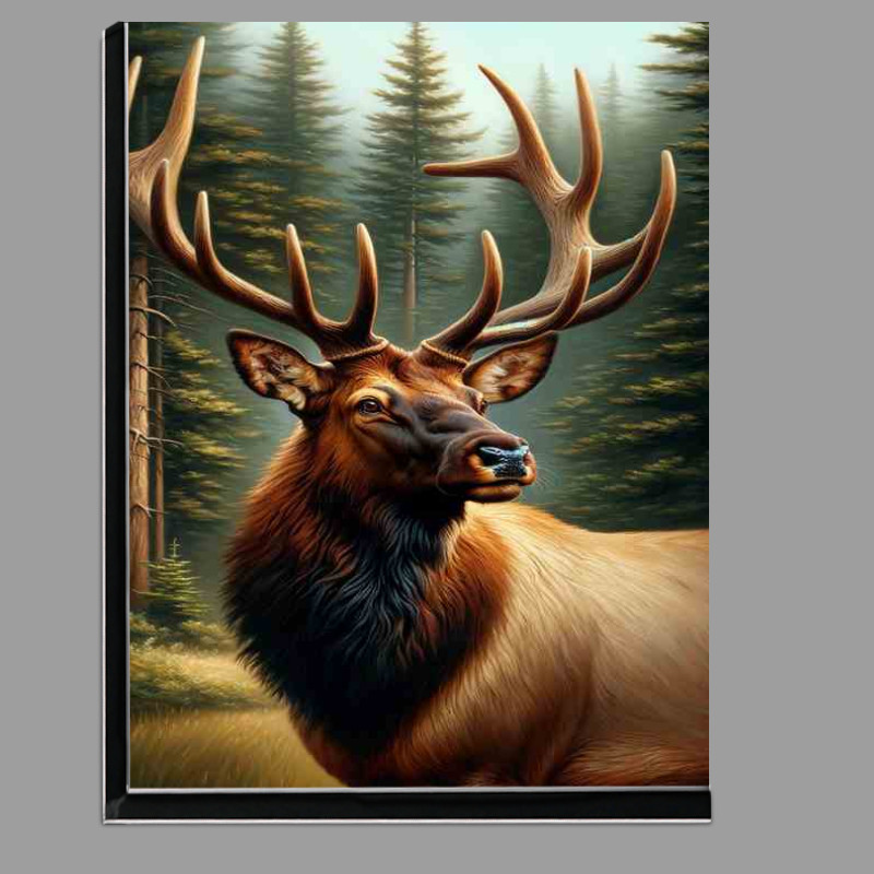Buy Di-Bond : (Majestic Elk in Forest Setting oil painting style)