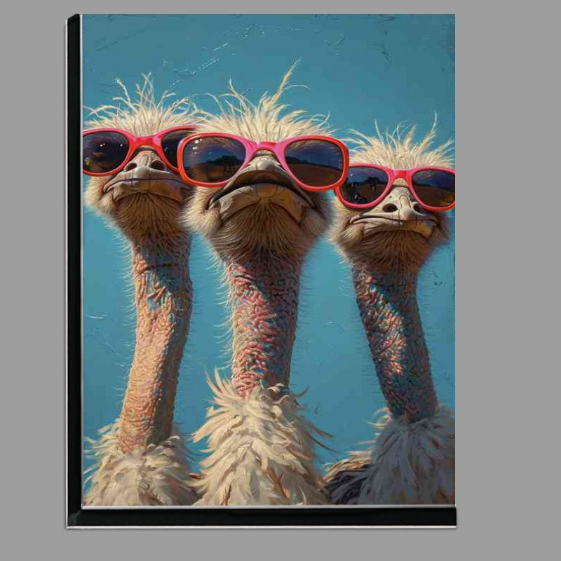Buy Di-Bond : (Three ostriches sitting in the sun)
