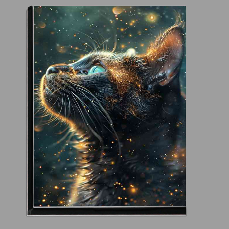 Buy Di-Bond : (A Cat looking into a swarm of stars)