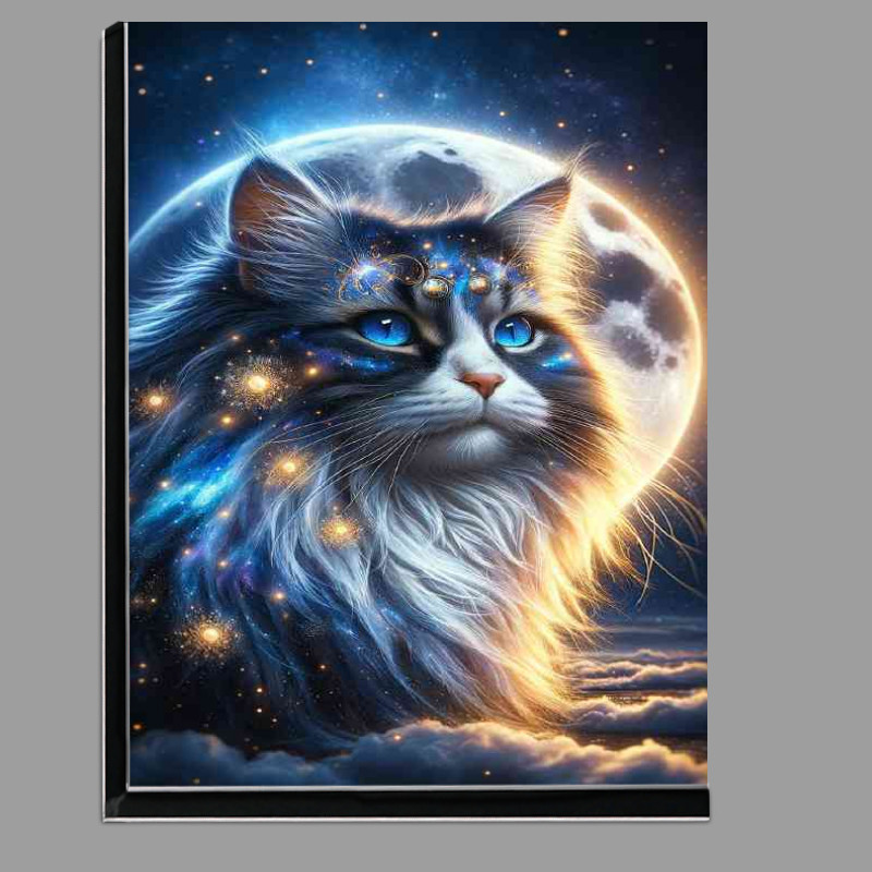 Buy Di-Bond : (A majestic fluffy cat with deep blue eyes)