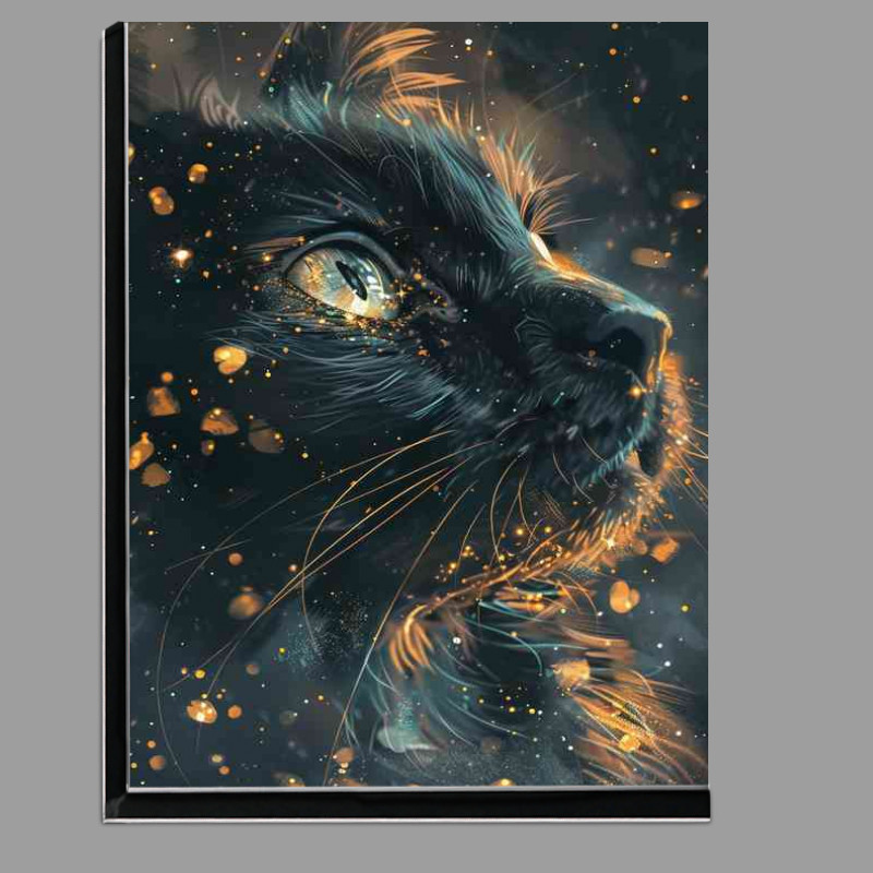 Buy Di-Bond : (Black Cat Gold Stars)