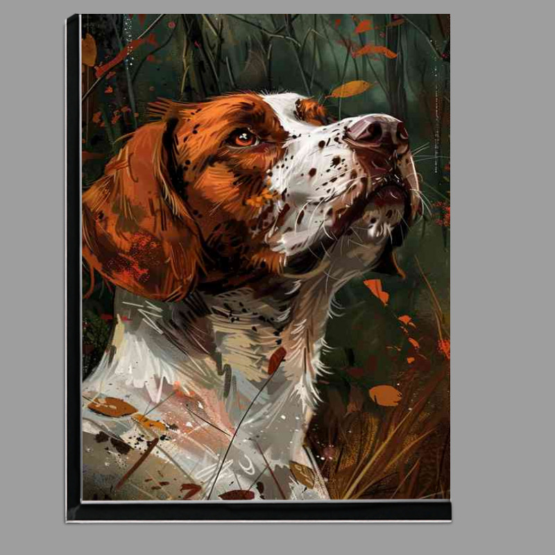 Buy Di-Bond : (Brown and white Springer dog in a forest)