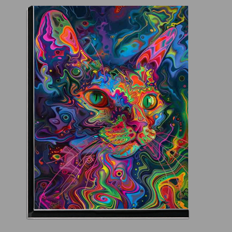 Buy Di-Bond : (Cat in a painted psychedlic style)