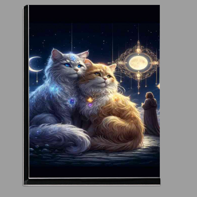 Buy Di-Bond : (Two fluffy Cats with one having silver blue)