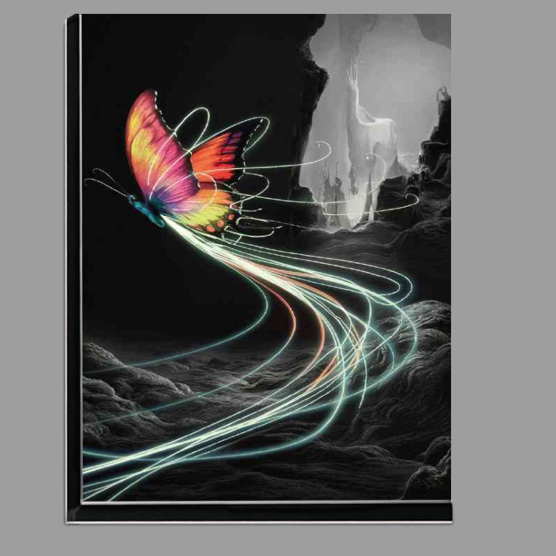 Buy Di-Bond : (Conceptual Butterfly leaving shimmering lights)