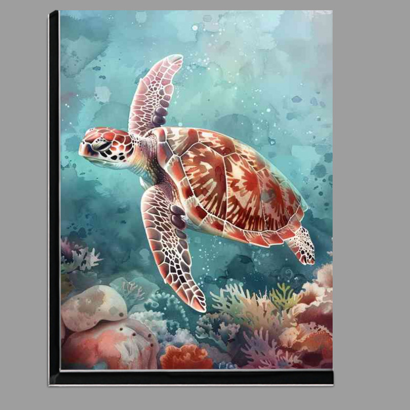 Buy Di-Bond : (Turtle swimming in the ocean coral reef)