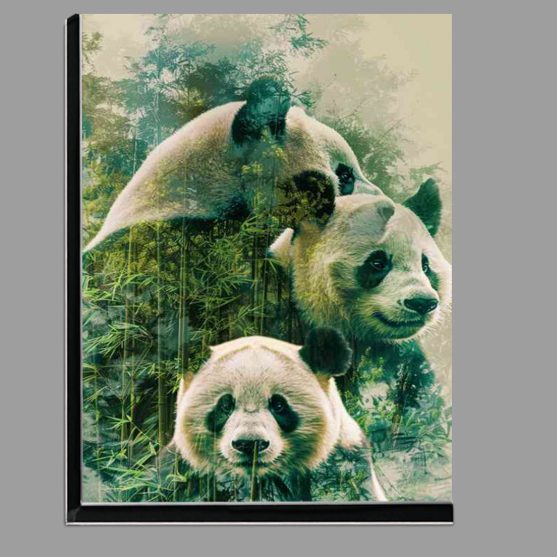 Buy Di-Bond : (A Set of Pandas in the woodlands)