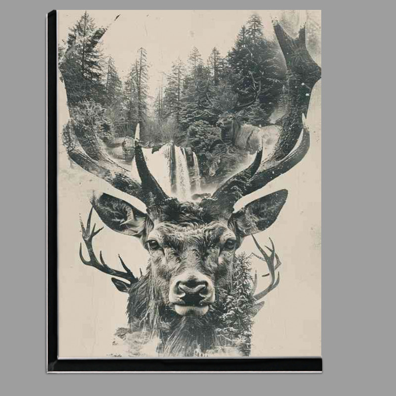Buy Di-Bond : (Double exposure Deer head in the wilderness)