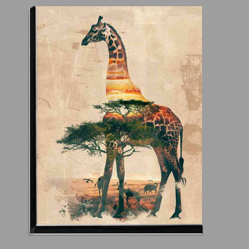 Buy Di-Bond : (Exposed Giraffe with the trees)