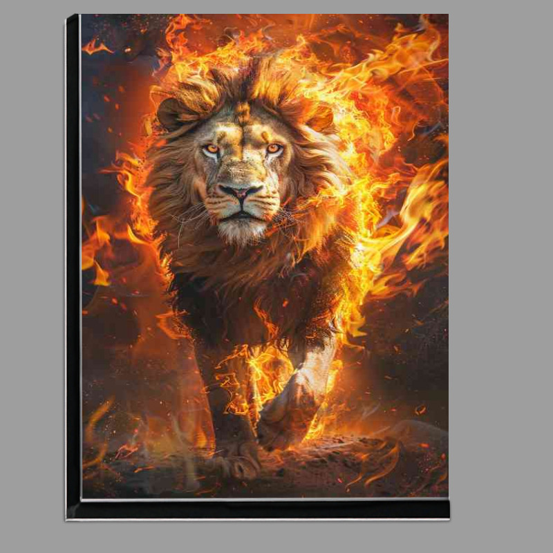 Buy Di-Bond : (Lion walking through the flames)
