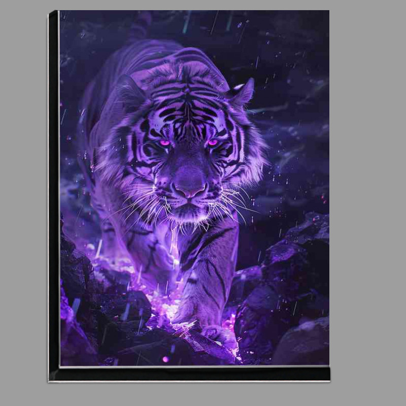Buy Di-Bond : (The purple tiger walking)