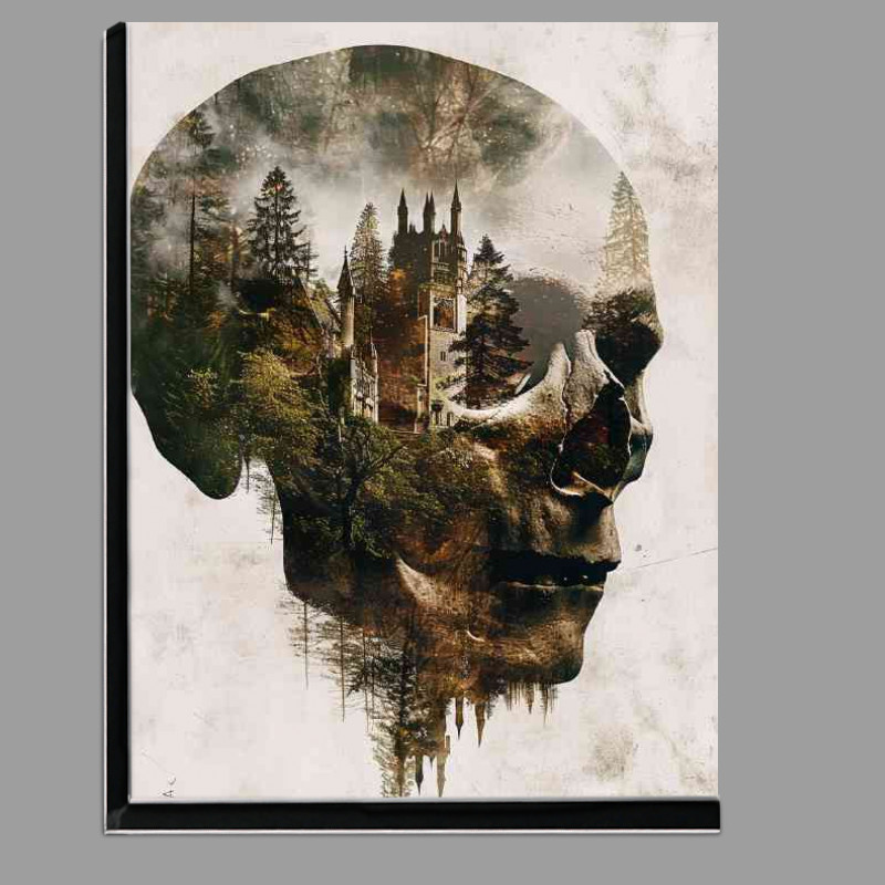 Buy Di-Bond : (Skull heand and a forest double exposure)