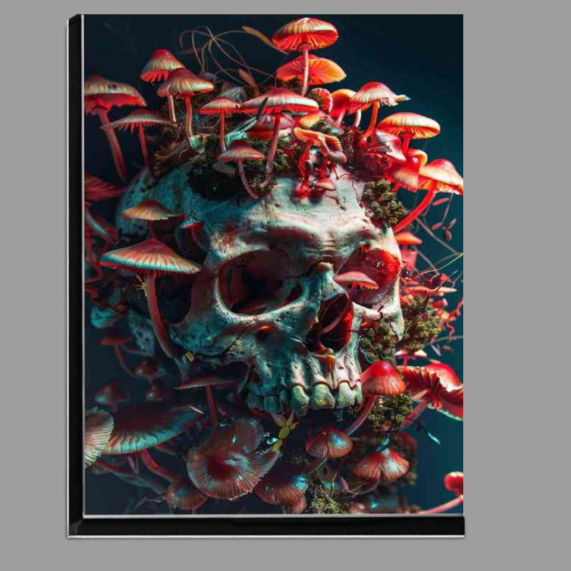 Buy Di-Bond : (Mushrooms and the skull)