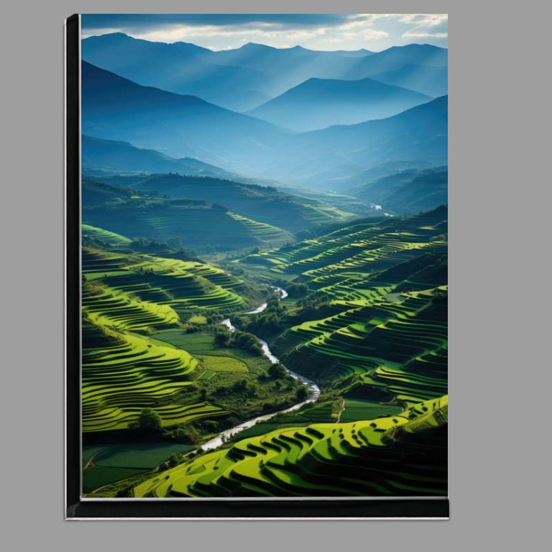 Buy Di-Bond : (Rice Fields with mountains)