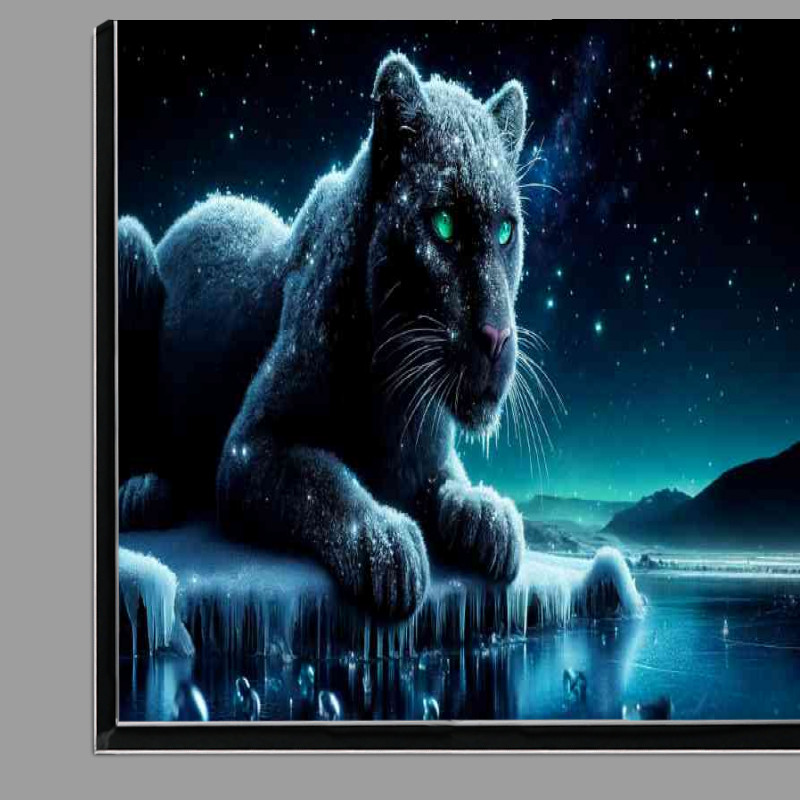 Buy Di-Bond : (Panther sparkling frost crouched on a frozen waterfall)