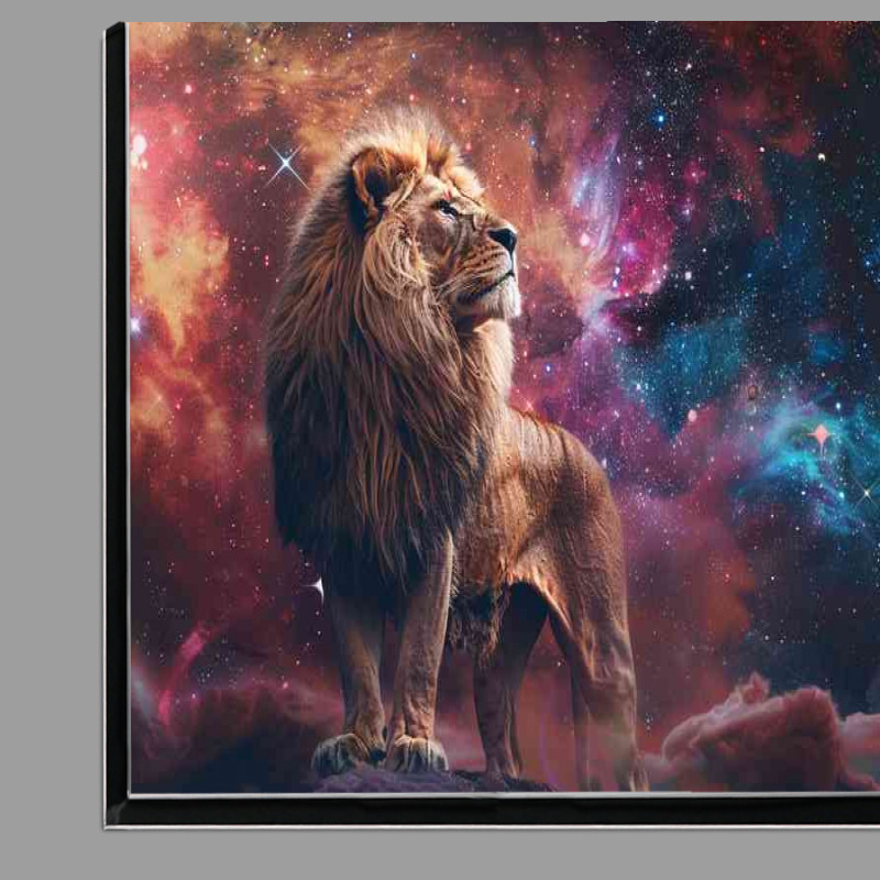 Buy Di-Bond : (Proud Lion Star Gazing)