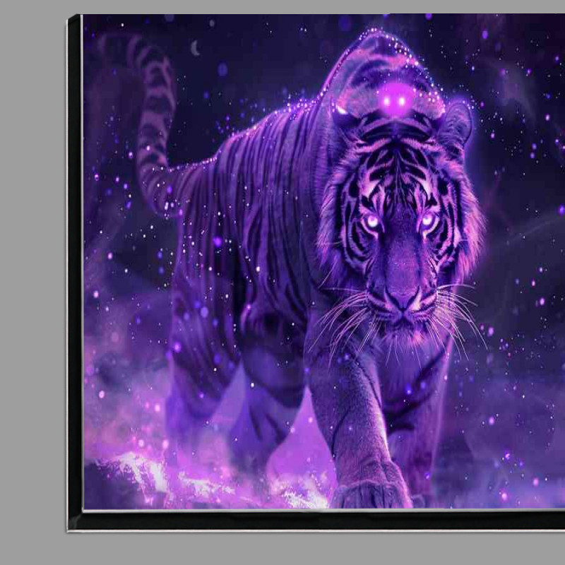 Buy Di-Bond : (Purple tiger with purple stars)