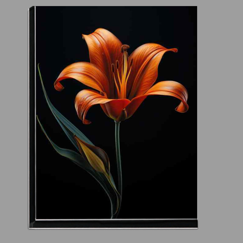 Buy Di-Bond : (Orange lily with black background)