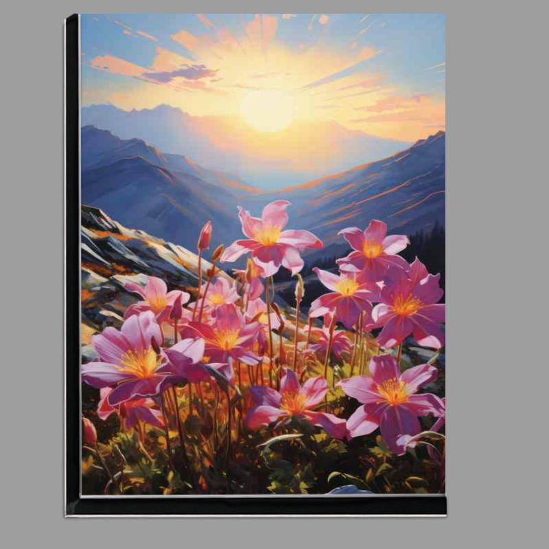 Buy Di-Bond : (Wild columbines bloom in the mountains)