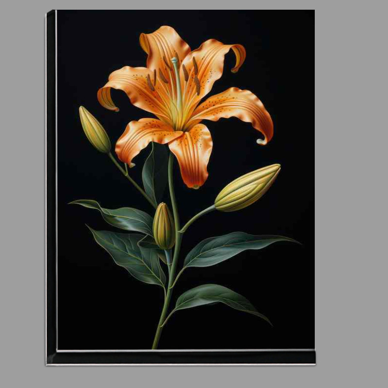 Buy Di-Bond : (orange lily with green leaves and black background)