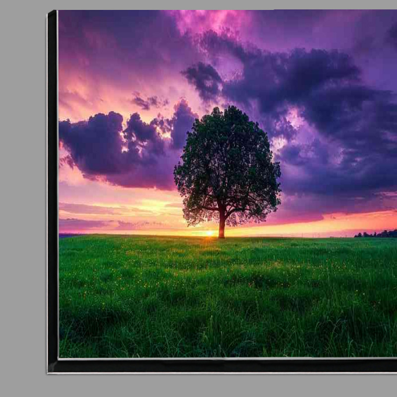 Buy Di-Bond : (A Signle Tree and green fiels with purple skys)