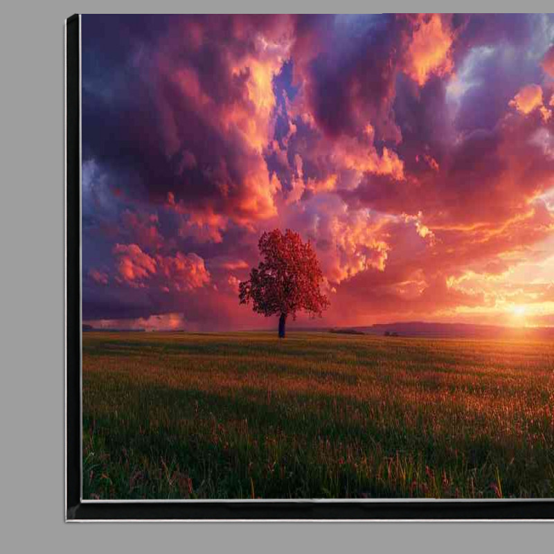 Buy Di-Bond : (Green field with a purple lush sky)