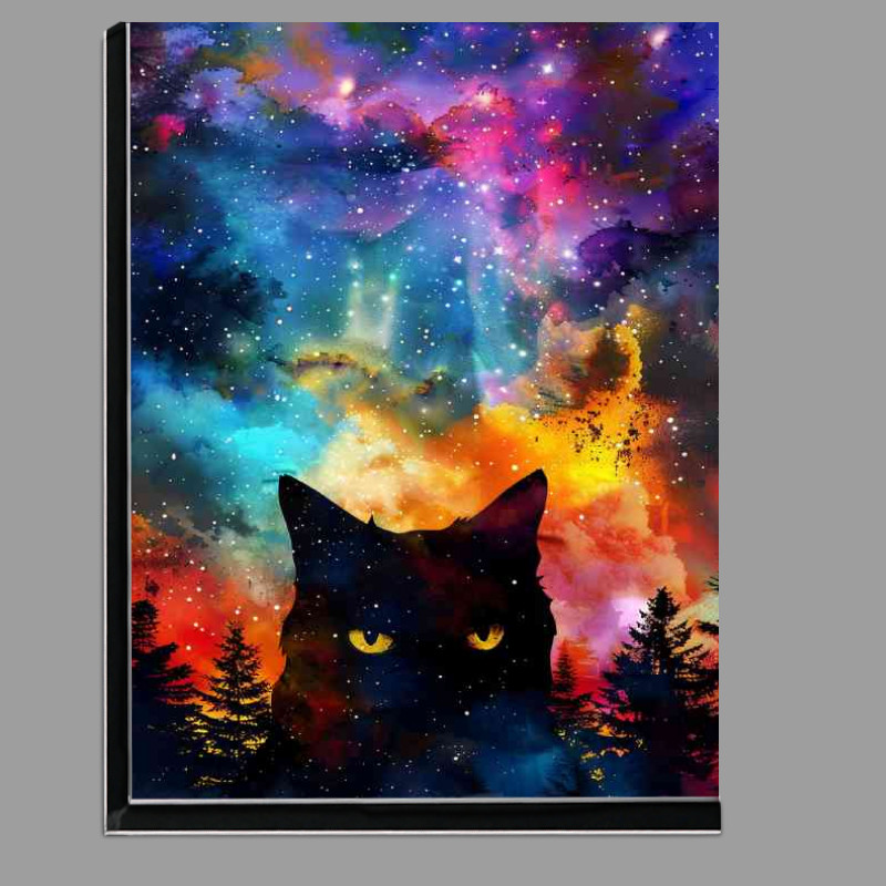 Buy Di-Bond : (Cat black fur nebula cosmos)