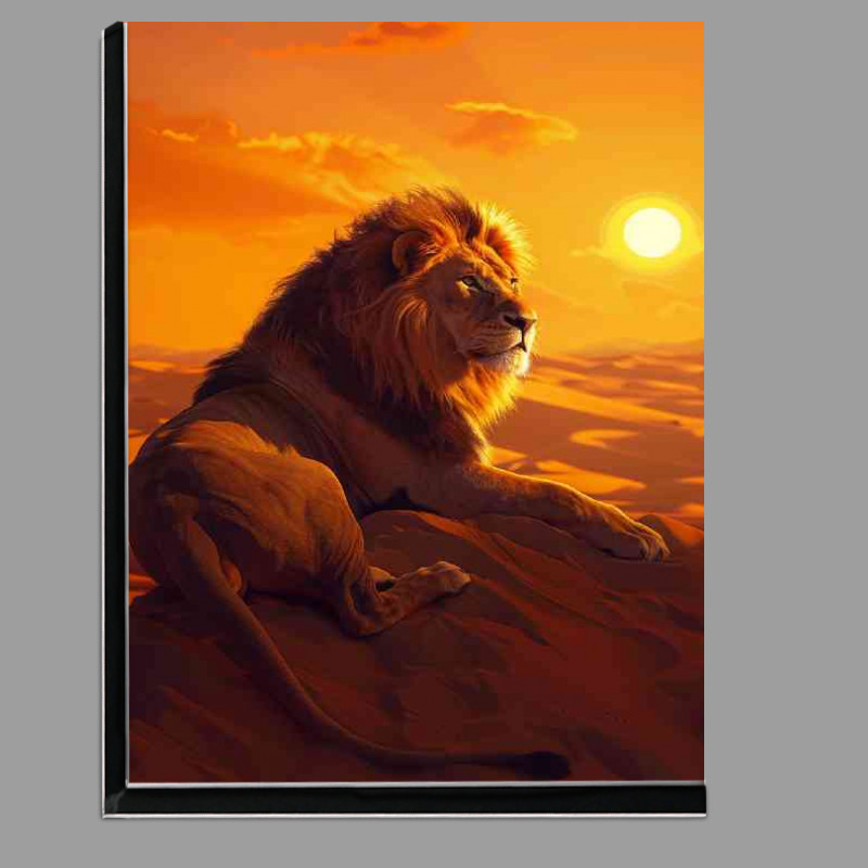 Buy Di-Bond : (Lion basking in the sun daytime)
