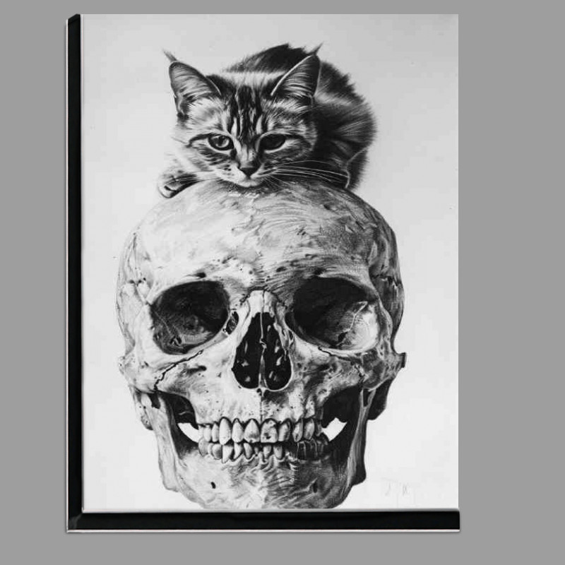 Buy Di-Bond : (Drawing of the skull cat)