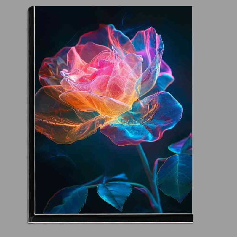 Buy Di-Bond : (Colourful single rose bright pettles)
