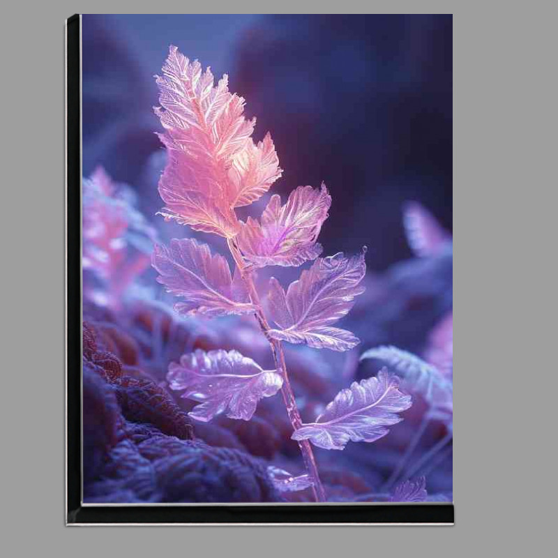 Buy Di-Bond : (Purple fern hitting the dusk night)