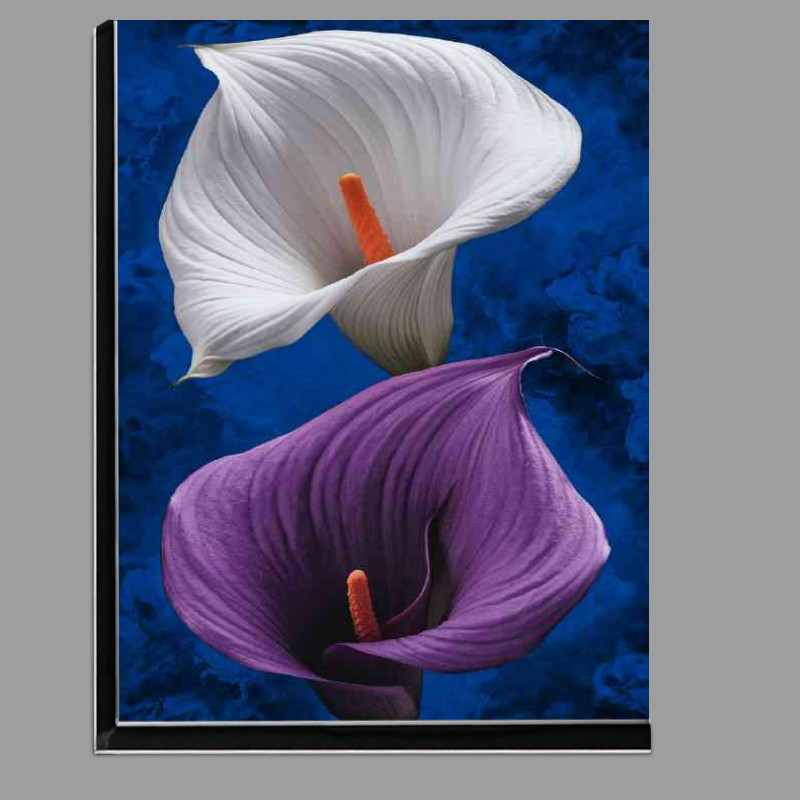 Buy Di-Bond : (Two calla lilies the top flower)