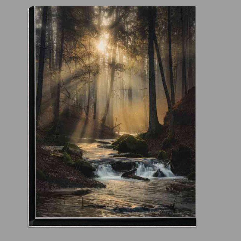 Buy Di-Bond : (Serene forest scene river flowing)